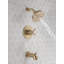 SAYLOR™ Monitor® 17 Series Tub & Shower Trim-74993293