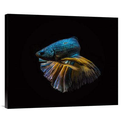 Half Turn - Single Picture Frame Photograph on Digital Framed Print