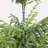 4' Artificial Real Touch Pine Tree in Black Plastic Pot, 1pc/set