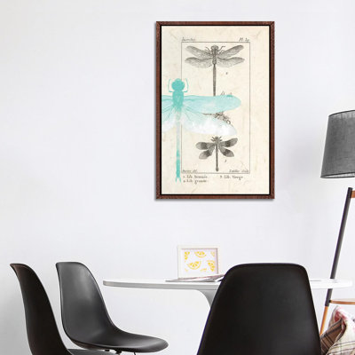 Field Guide I by Kimberly Allen - Print on Canvas