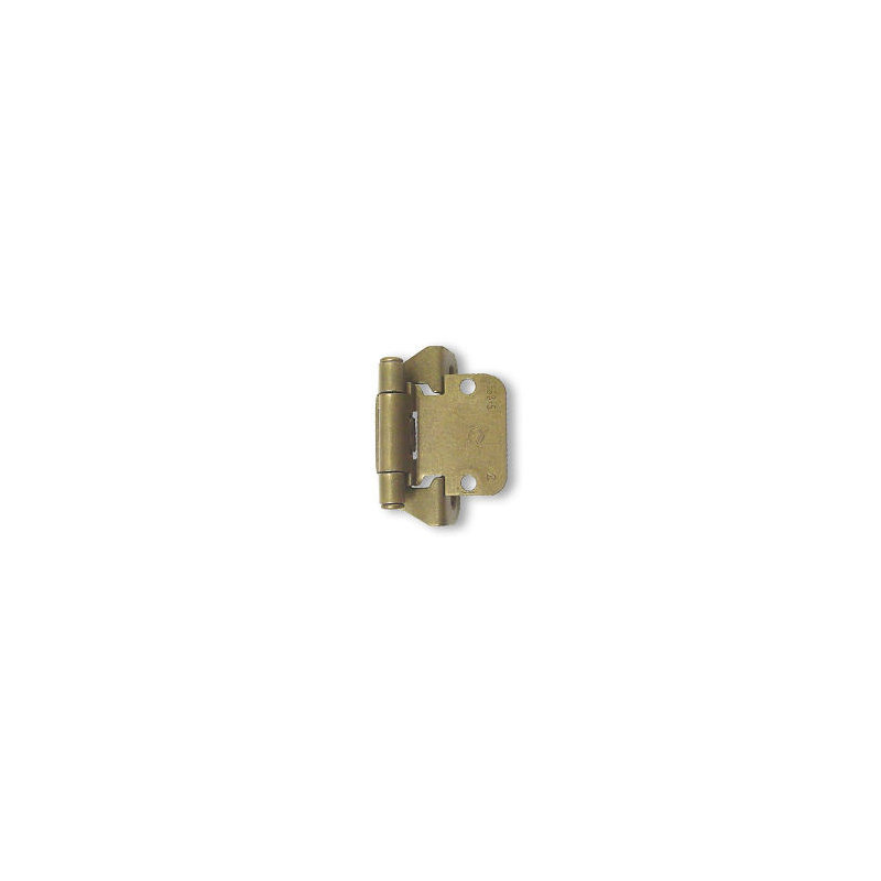 Overlay Hinge