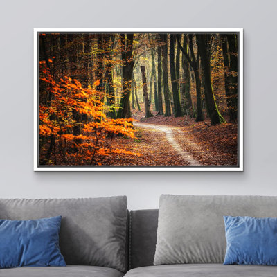 Automne, automne, forêt, arbre, nature, paysage, grandes impressions sur toile encadrées