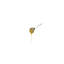 Acacia Honey Dipper