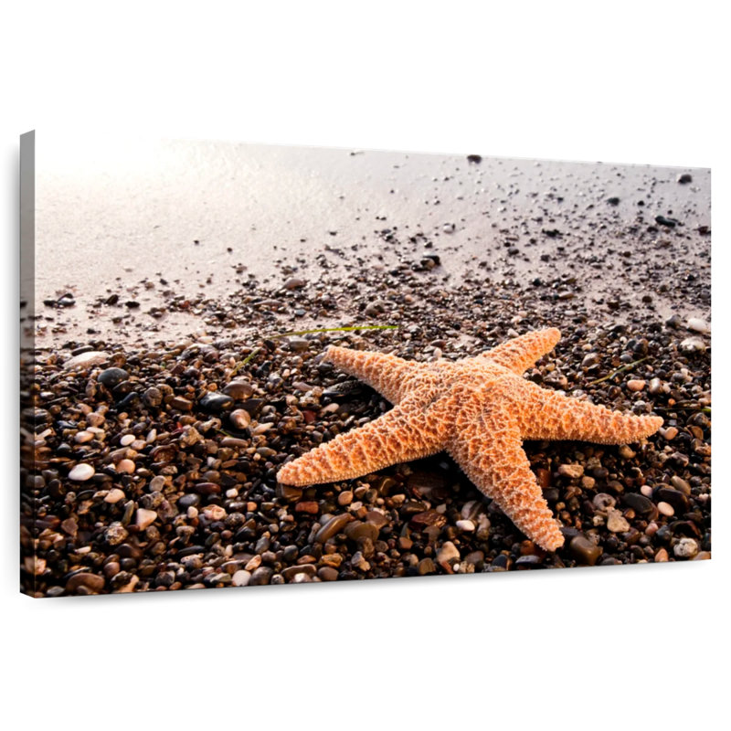 Orange Starfish, 20" H x 30" W