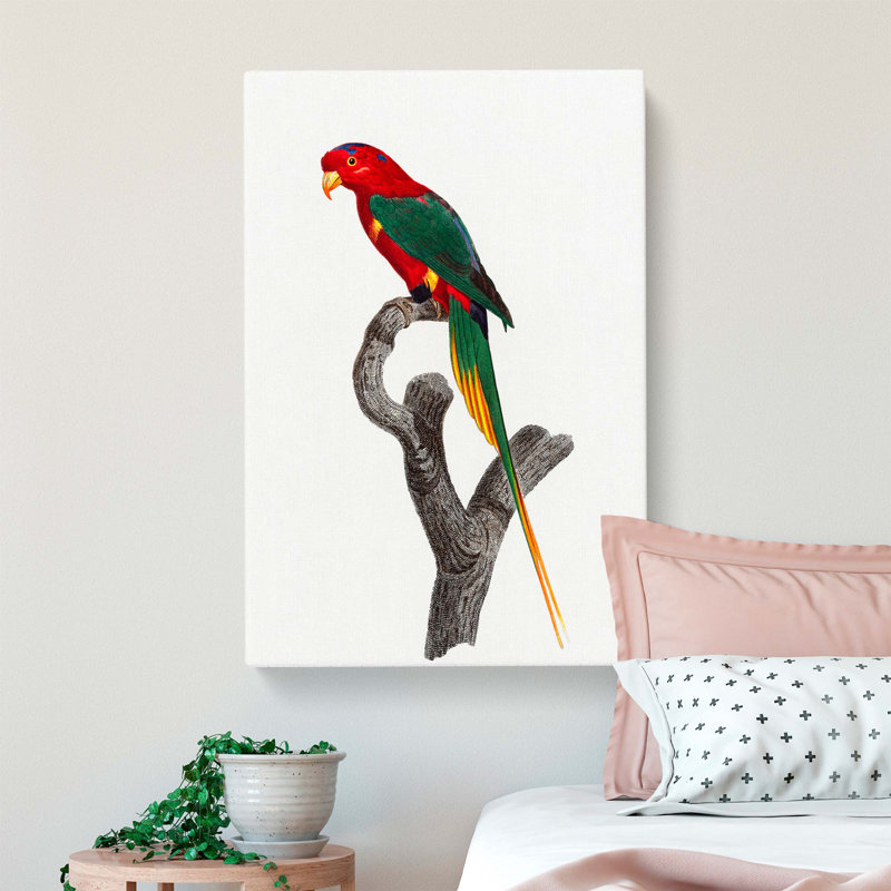 Papuan Lorikeet by F. Levaillant - Wrapped Canvas, 60cm H x 40cm W x 3cm D