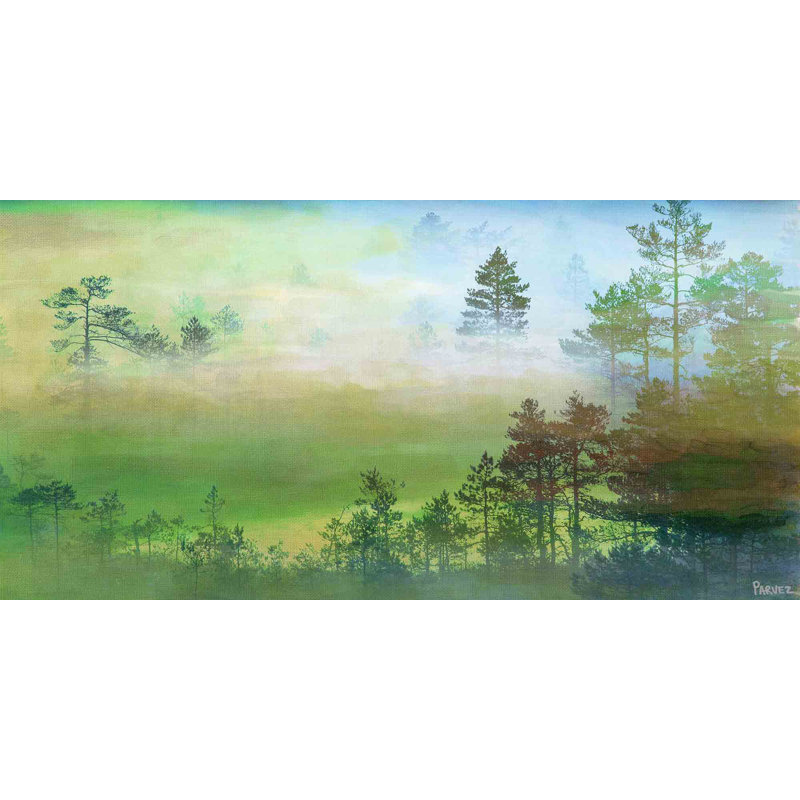 Parvez Taj - Wrapped Canvas Print, 45cm H x 91cm W