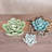 Arciniega Ceramic Desert Flower-569626575-569626574