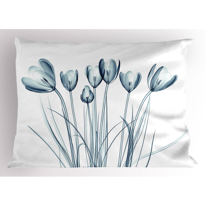 Ensemble de 2 taies décoratives à motif solaire Ambesonne, L 30 po x H 20 po