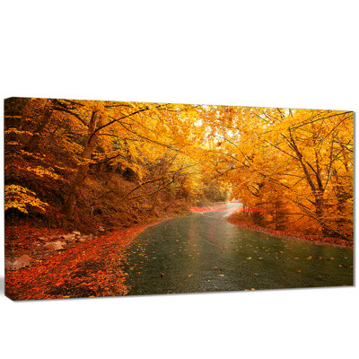" Autumn Light Trails On Road "