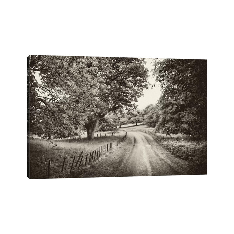 Country Roads by Janel Pahl - Wrapped Canvas Print, 66.04 cm H x 45.72 cm W x 3.175 cm D