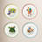 6" Tidbit Plates, Set of 4