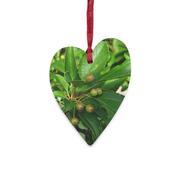 The Holiday Aisle® Wood Plants & Flowers Holiday Shaped Ornament | Wayfair