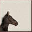 «Black Horse III», reproduction sur toile encadrée-28014428