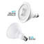 16,5 watts (100 watts équivalents), DEL PAR38, ampoule à intensité variable, culot E26 / moyen (standard)-50510819