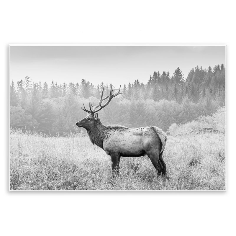 «Stoic American Elk», art mural sur bois par Sissi et Seb, H 10 po x l 15 po