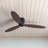 Hardy 3-Blade Flush Mount Ceiling Fan-1779934781