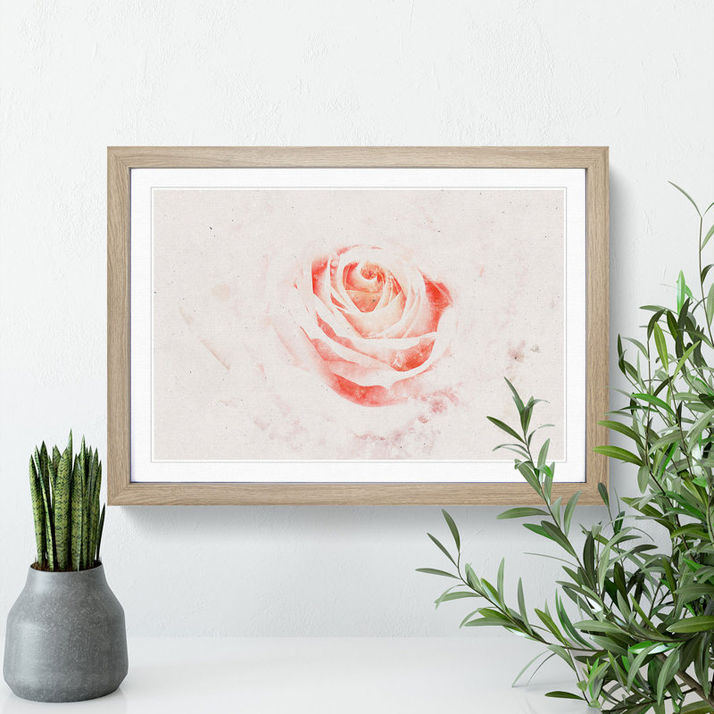 Pale Pink Rose - Framed Print, Oak Framed, 45cm H x 63cm W x 2cm D