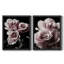 Rose noir I - toile avec cadre de qualité supérieure - prête à être accrochée