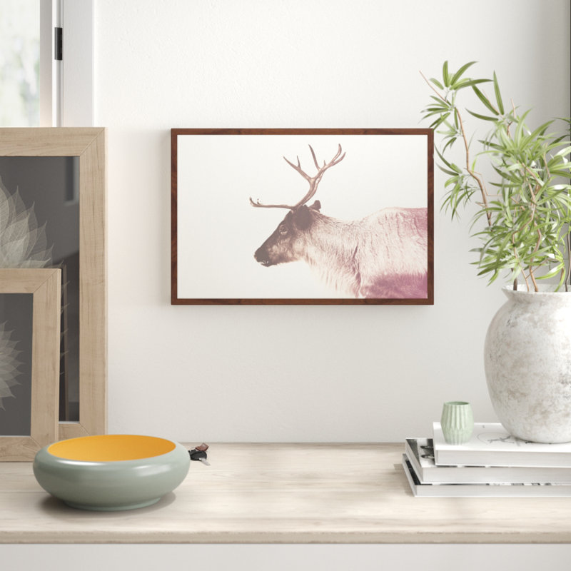 Parvez Taj - Single Picture Frame Print, 41cm H x 61cm W x 3.81cm D