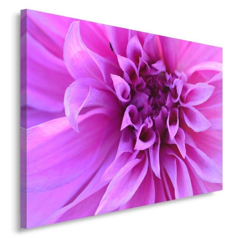 Leinwandbild Violette Blume