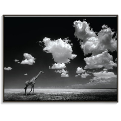 1 Piece Wrapped Canvas Wall Art