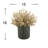 Seeded Eucalyptus-120313289-120313288