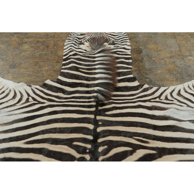 Modern Area Rug