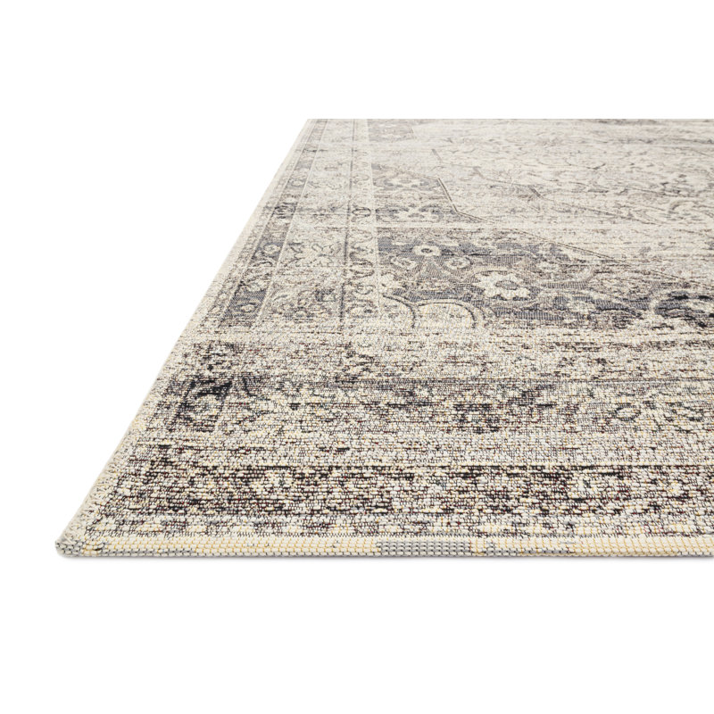 Kiera-Lee Oriental Indoor / Outdoor Rug, Rectangle 3'11" x 5'11"