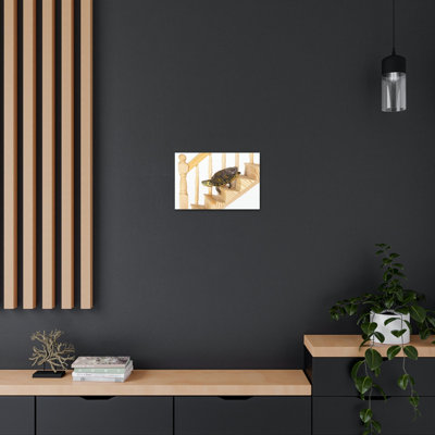 Funny Turtle Silly Turtle Inside Wall Art