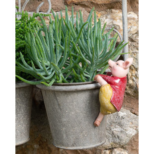 Cintre Beatrix Potter Pigling Bland Pot