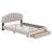 Ashiley Upholstered Panel Storage Bed-1691438781