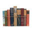 Decorative Books - Vintage World Classics Book Bundle - Subject Books by the Foot