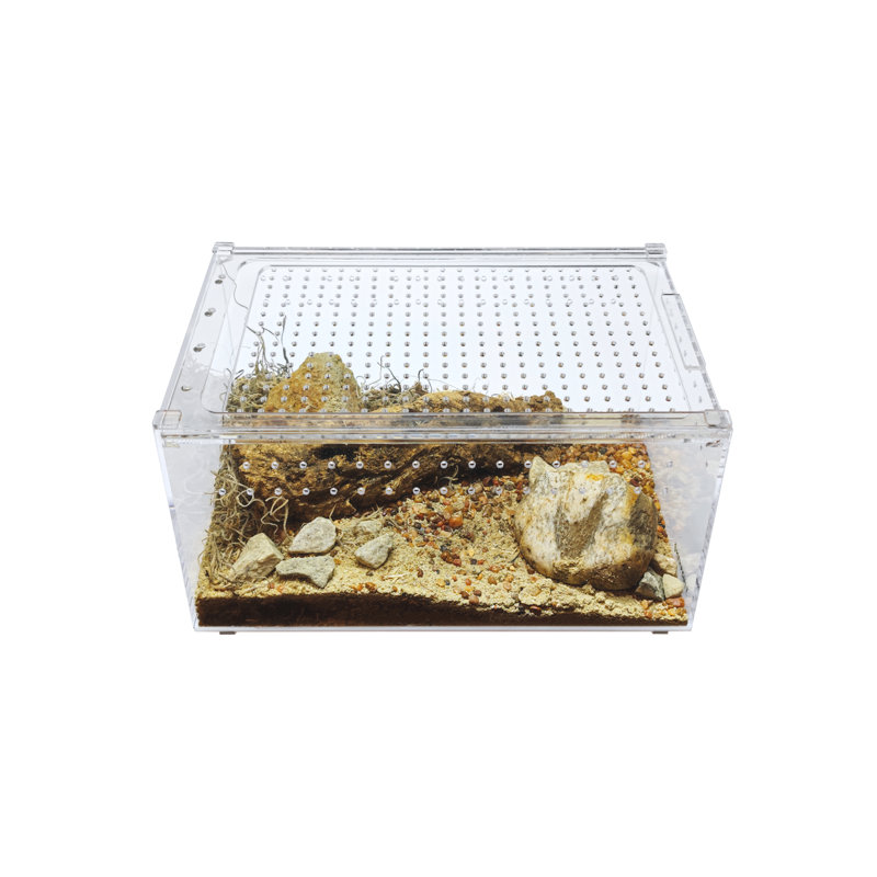 Acrylic Reptile Terrarium, 3 Gallon - 6"H x 8"W x 12"D