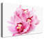 Print on Canvas-25529046