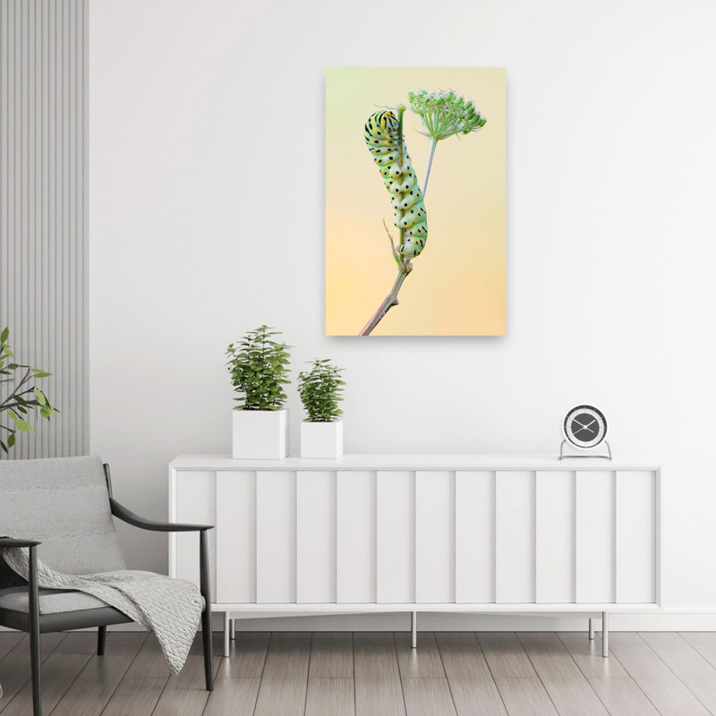 Green Caterpillar Climbing Delicate Vibrant Contemporary Animal Nature Wall Art Print 1 Piece Wrapped Canvas Wall Art