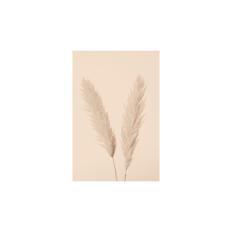 Wrapped Canvas Print, 50.8cm H x 76.2cm W