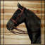 « journal cheval 2 », impression sur bois-16158836