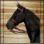 « journal cheval 2 », impression sur bois-16158838