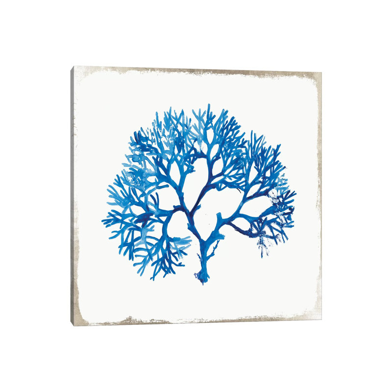 Blue Coral II by Aimee Wilson - Wrapped Canvas Painting, 30.48 cm H x 30.48 cm W