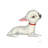 Chihuahua White by Danny Gordon - Wrapped Canvas Painting