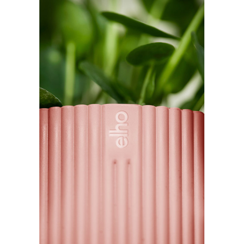 Pot Planter, Delicate Pink, 14.8cm H x 16.1cm W x 16.1cm D