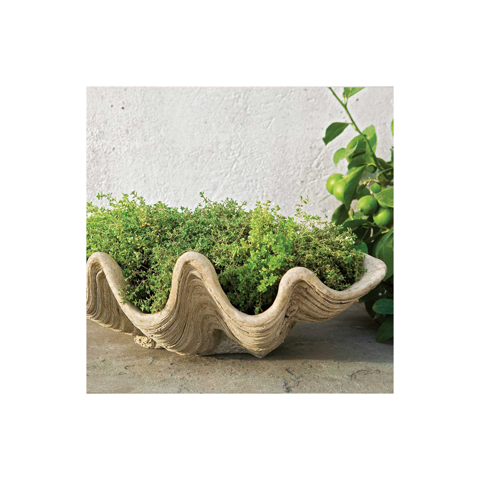 Handmade Pot Planter, Natural