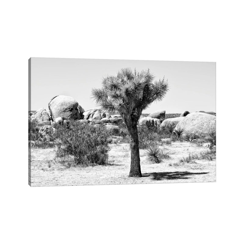 Joshua Tree III by Philippe Hugonnard - Wrapped Canvas Print, 101.6 cm H x 66.04 cm W x 1.91 cm D