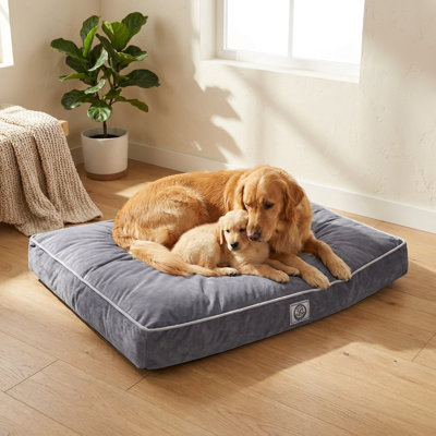 Lit pour chien CalmNest