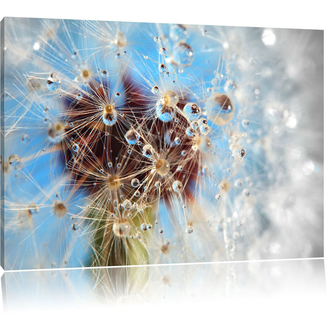 Leinwandbild Tropfen an Pusteblume abstrakt in Braun/Blau