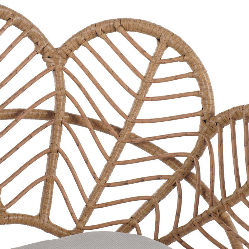 Ensemble de 2 chaises d'extérieur en forme de paon en osier Kirk