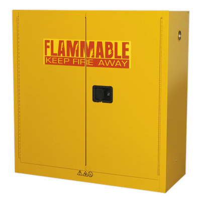 Celyn Metal Safety Cabinet