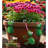 Pot Hugger Set/3 - Frog