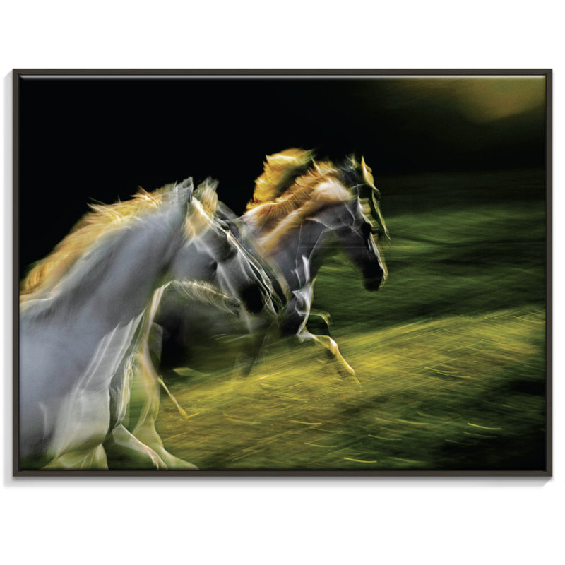 White Goddesses - Single Picture Frame Print on Canvas, Black, 41cm H x 51cm W x 4cm D