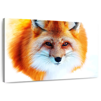Brampt Red Fox Face